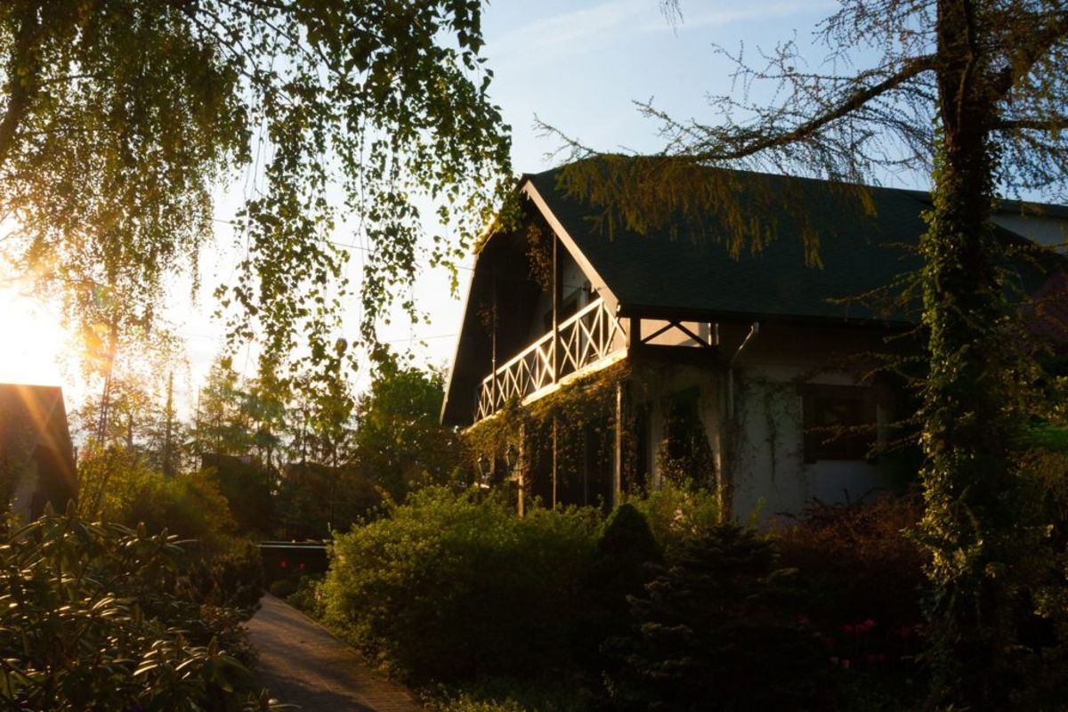 kuchnia, ogród / park